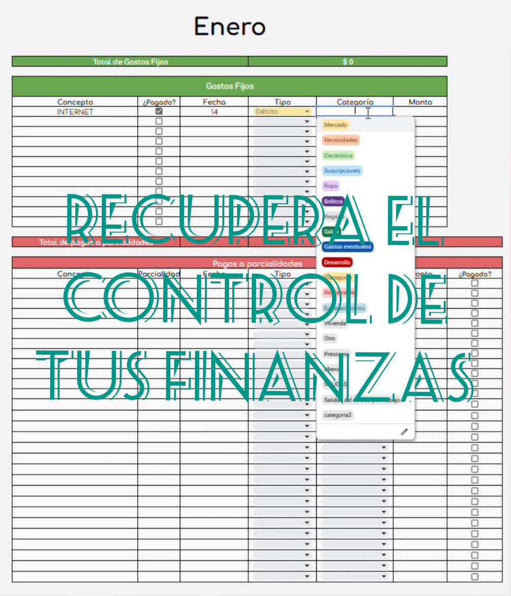 Plantilla de Control Financiero — product preview