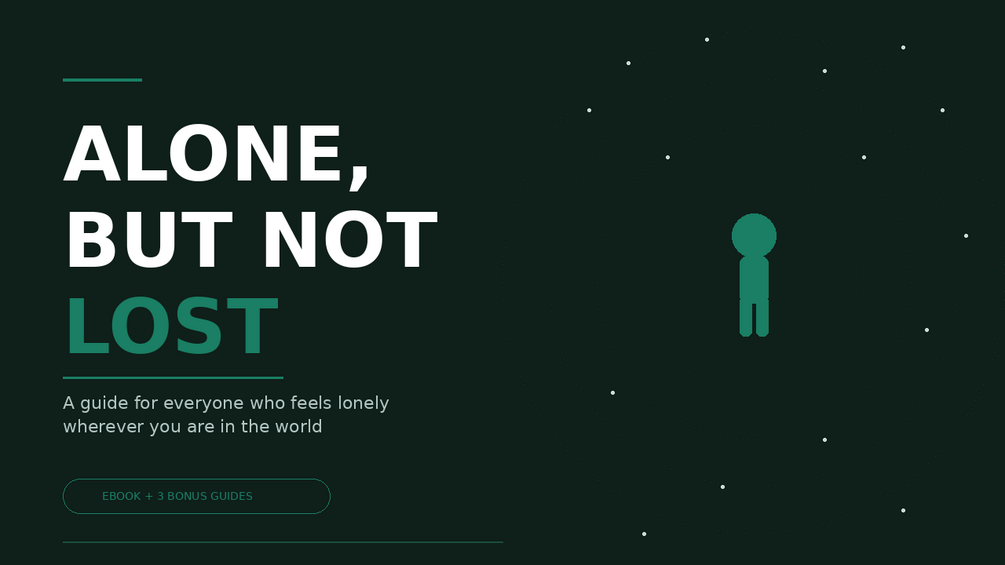 ALONE, BUT NOT LOST — product preview